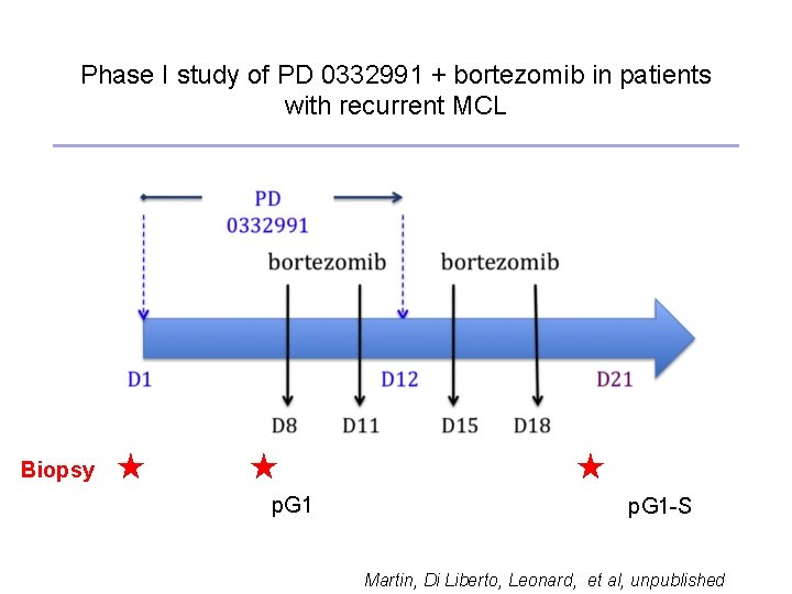 Phase I study of PD 0332991 + bortezomib in patients with recurrent MCL Biopsy