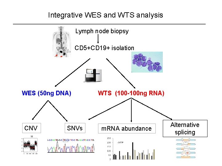 Integrative WES and WTS analysis Lymph node biopsy CD 5+CD 19+ isolation WES (50
