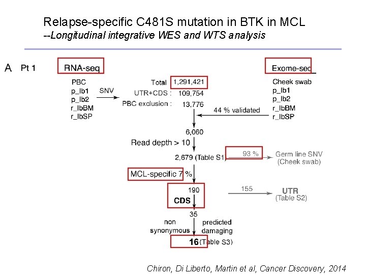 Relapse-specific C 481 S mutation in BTK in MCL --Longitudinal integrative WES and WTS