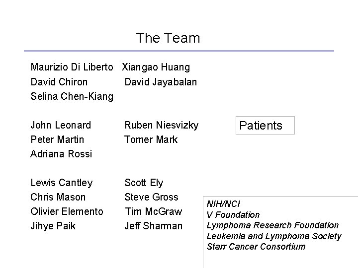 The Team Maurizio Di Liberto Xiangao Huang David Chiron David Jayabalan Selina Chen-Kiang John