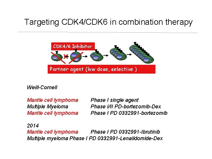 Targeting CDK 4/CDK 6 in combination therapy CDK 4/6 Inhibitor Partner agent (low dose,