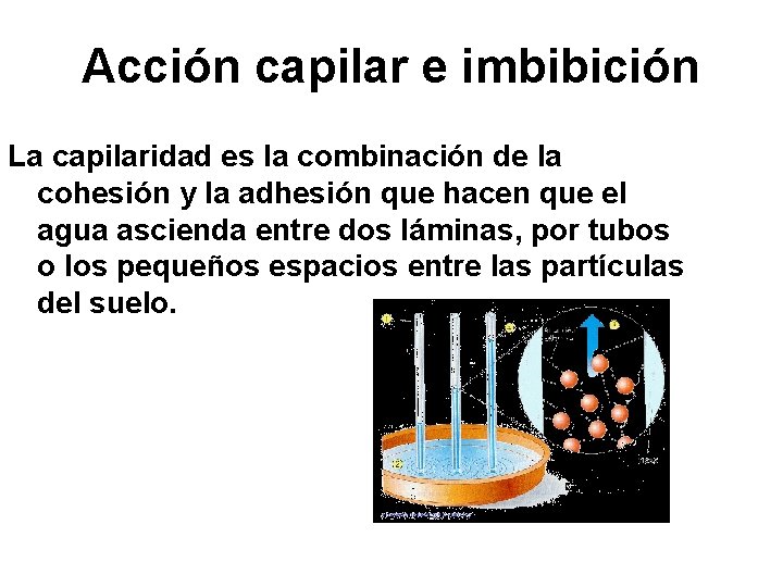 Acción capilar e imbibición La capilaridad es la combinación de la cohesión y la