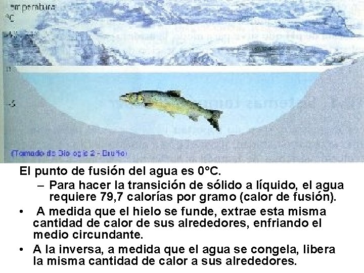 El punto de fusión del agua es 0°C. – Para hacer la transición de