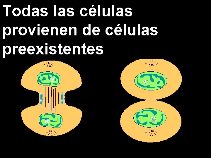 Todas las células provienen de células preexistentes 
