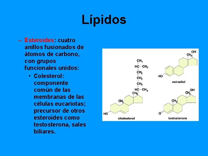 Lípidos – Esteroides: cuatro anillos fusionados de átomos de carbono, con grupos funcionales unidos: