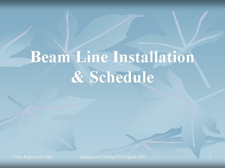 Beam Line Installation & Schedule Peter-Raymond Kettle Installation Meeting PSI August 2006 1 
