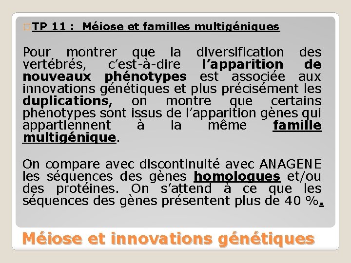 � TP 11 : Méiose et familles multigéniques Pour montrer que la diversification des