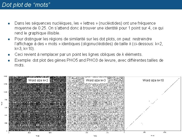 Dot plot de “mots” n n Dans les séquences nucléiques, les « lettres »