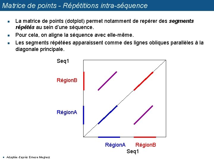 Matrice de points - Répétitions intra-séquence n n n La matrice de points (dotplot)
