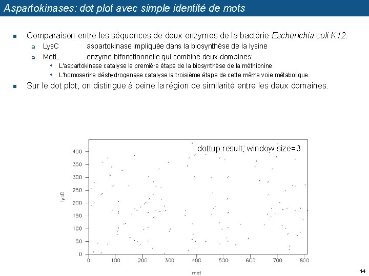 Aspartokinases: dot plot avec simple identité de mots n Comparaison entre les séquences de