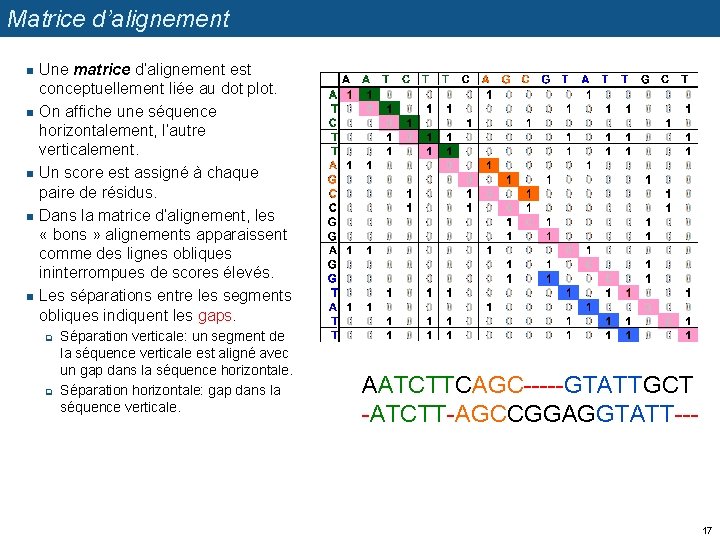 Matrice d’alignement n n n Une matrice d’alignement est conceptuellement liée au dot plot.