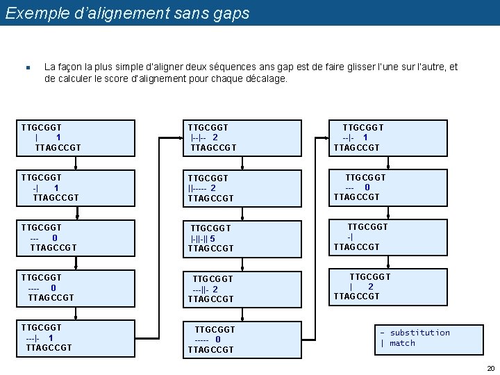 Exemple d’alignement sans gaps n La façon la plus simple d’aligner deux séquences ans