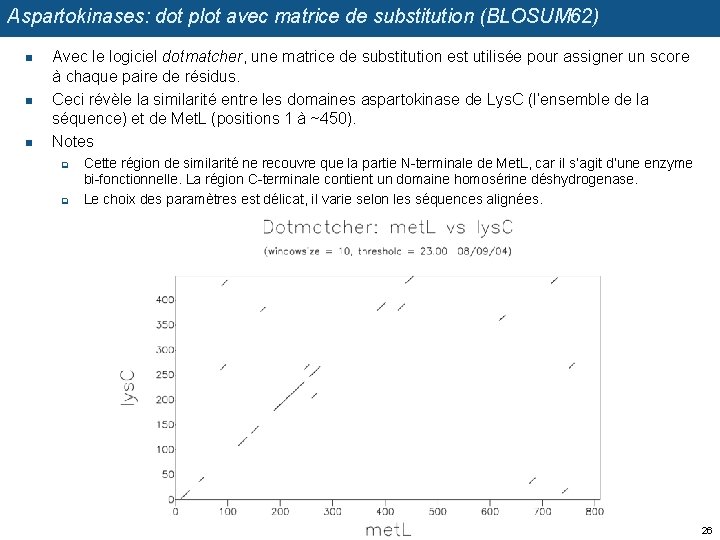 Aspartokinases: dot plot avec matrice de substitution (BLOSUM 62) n n n Avec le