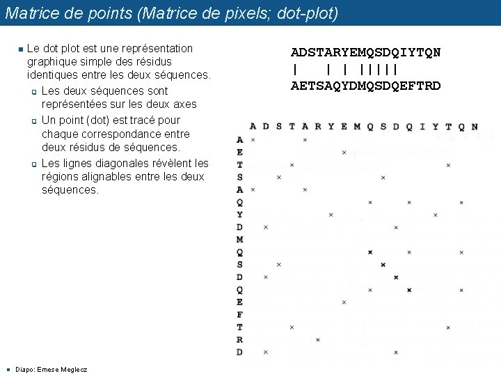 Matrice de points (Matrice de pixels; dot-plot) n n Le dot plot est une