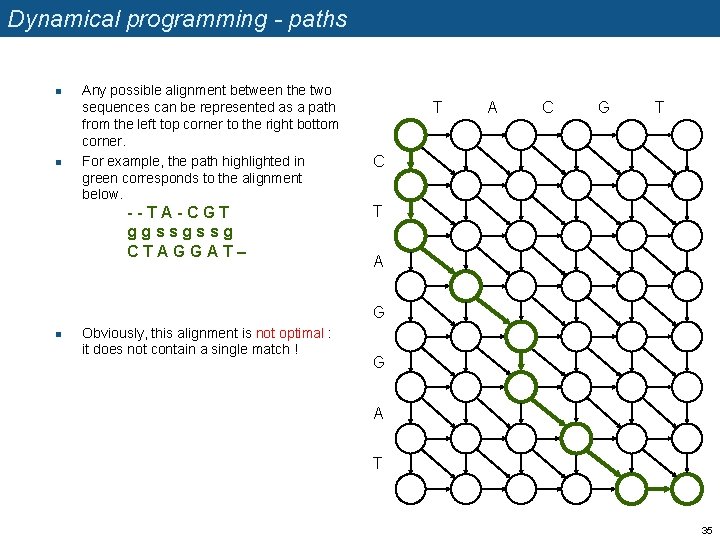 Dynamical programming - paths n n Any possible alignment between the two sequences can
