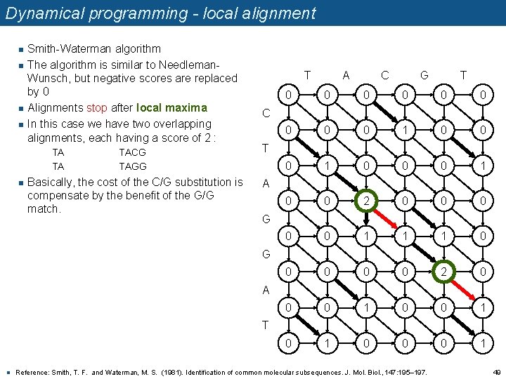 Dynamical programming - local alignment n n Smith-Waterman algorithm The algorithm is similar to