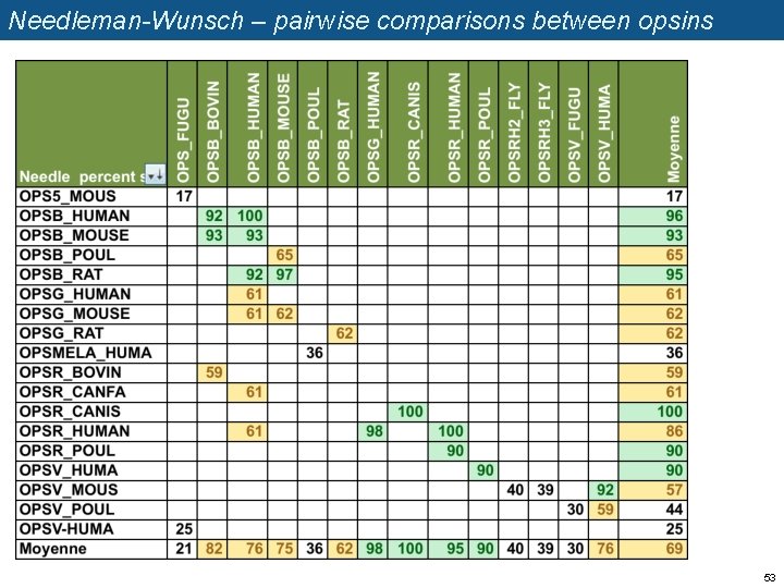 Needleman-Wunsch – pairwise comparisons between opsins 53 