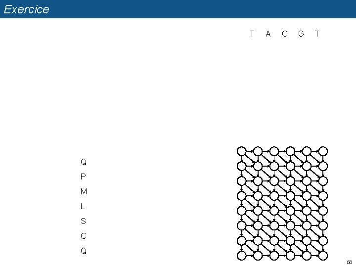 Exercice T A C G T Q P M L S C Q 56