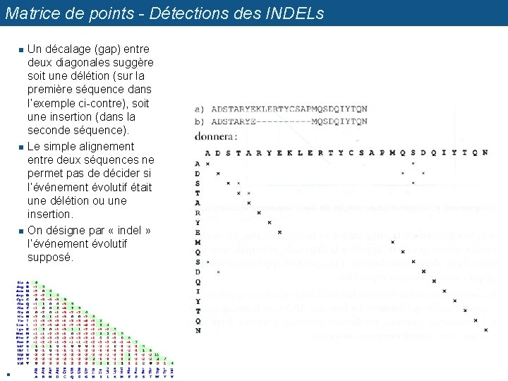 Matrice de points - Détections des INDELs n n Un décalage (gap) entre deux