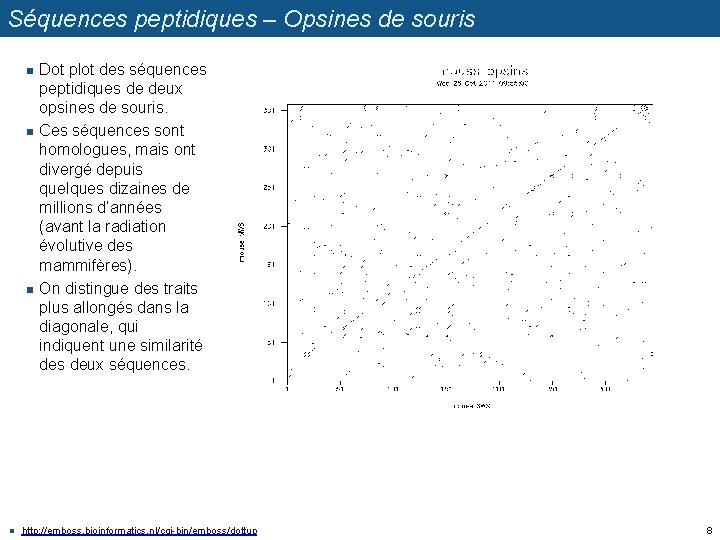 Séquences peptidiques – Opsines de souris n n Dot plot des séquences peptidiques de