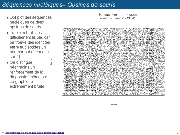 Séquences nucléiques– Opsines de souris n n Dot plot des séquences nucléiques de deux
