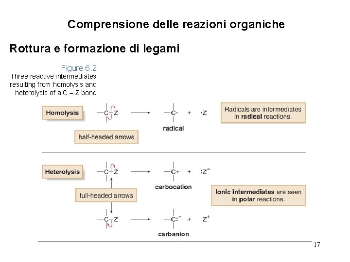 Comprensione delle reazioni organiche Rottura e formazione di legami Figure 6. 2 Three reactive