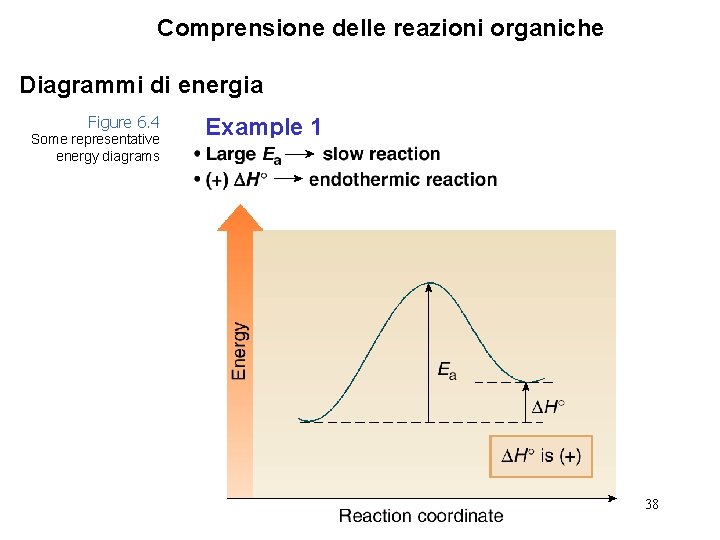 Comprensione delle reazioni organiche Diagrammi di energia Figure 6. 4 Some representative energy diagrams