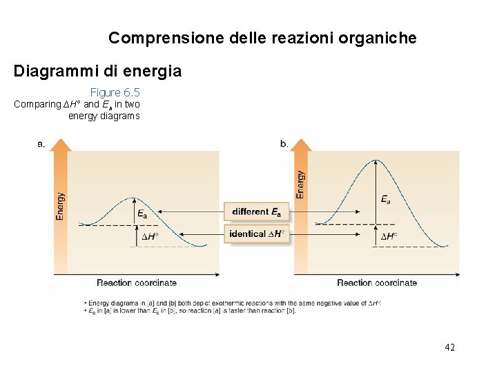 Comprensione delle reazioni organiche Diagrammi di energia Figure 6. 5 Comparing ∆H° and Ea