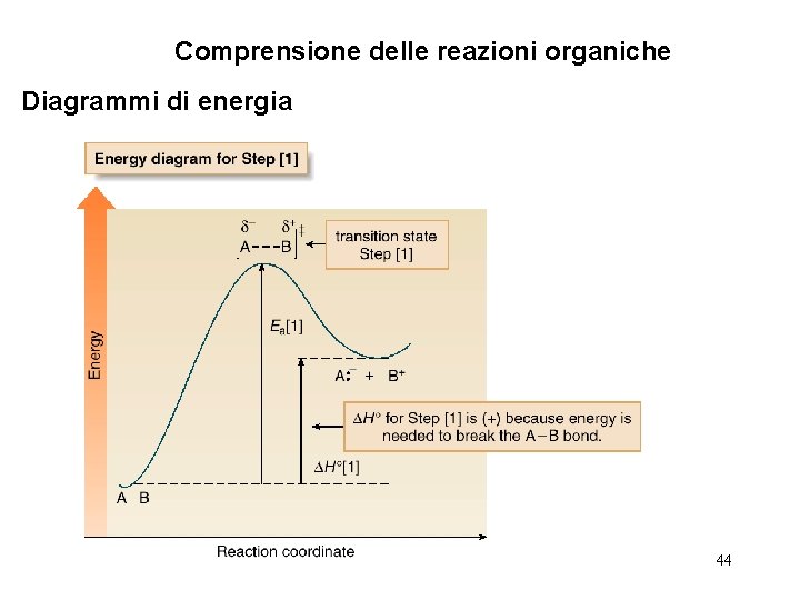 Comprensione delle reazioni organiche Diagrammi di energia 44 