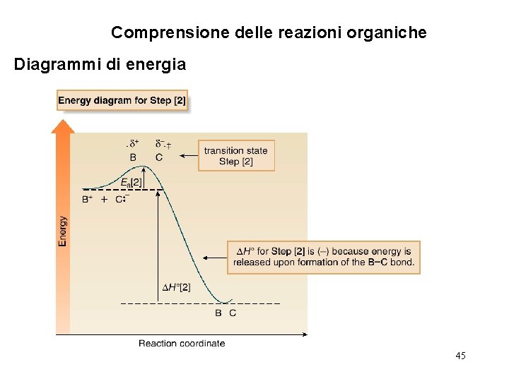 Comprensione delle reazioni organiche Diagrammi di energia 45 