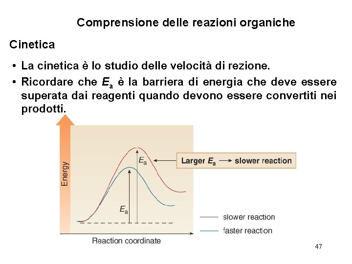 Comprensione delle reazioni organiche Cinetica • La cinetica è lo studio delle velocità di