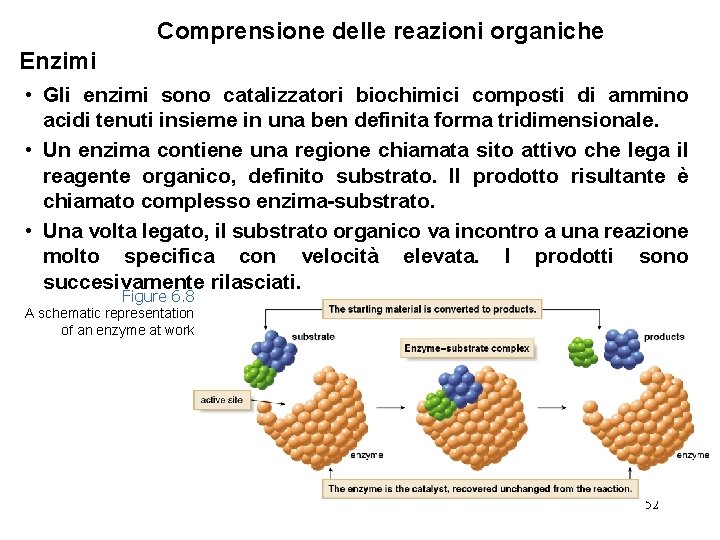 Comprensione delle reazioni organiche Enzimi • Gli enzimi sono catalizzatori biochimici composti di ammino