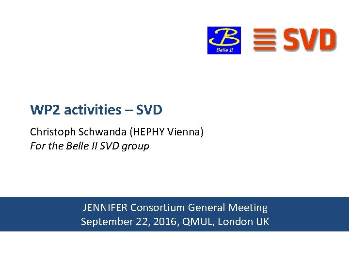 WP 2 activities – SVD Christoph Schwanda (HEPHY Vienna) For the Belle II SVD