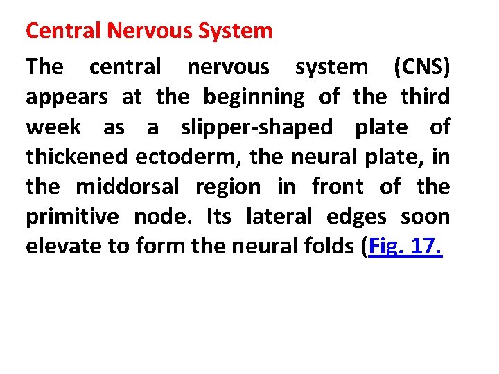 Central Nervous System The central nervous system (CNS) appears at the beginning of the