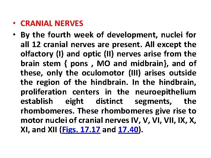  • CRANIAL NERVES • By the fourth week of development, nuclei for all