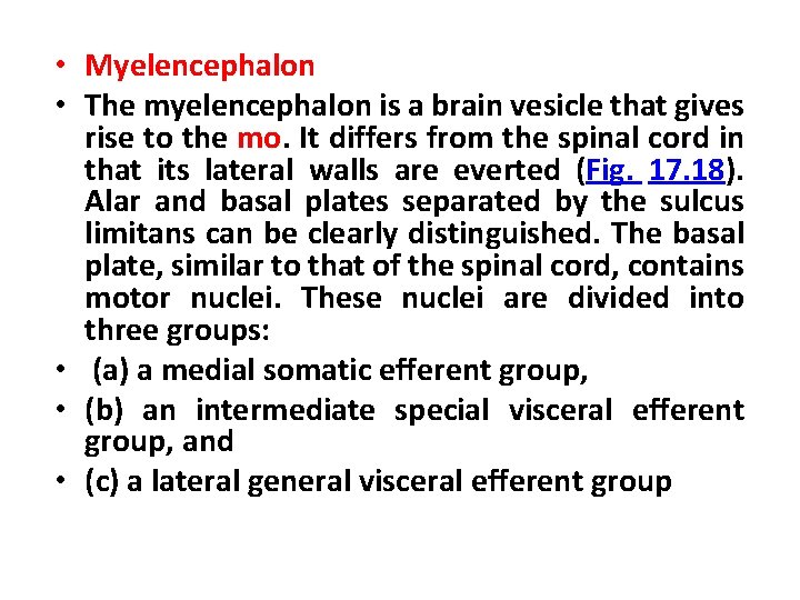  • Myelencephalon • The myelencephalon is a brain vesicle that gives rise to