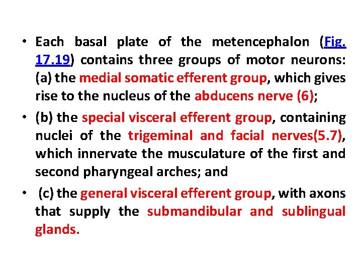  • Each basal plate of the metencephalon (Fig. 17. 19) contains three groups