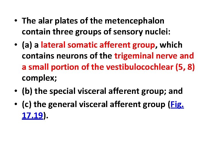  • The alar plates of the metencephalon contain three groups of sensory nuclei: