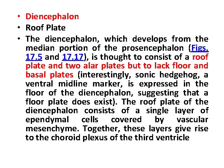  • Diencephalon • Roof Plate • The diencephalon, which develops from the median