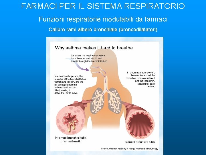 FARMACI PER IL SISTEMA RESPIRATORIO Funzioni respiratorie modulabili da farmaci Calibro rami albero bronchiale