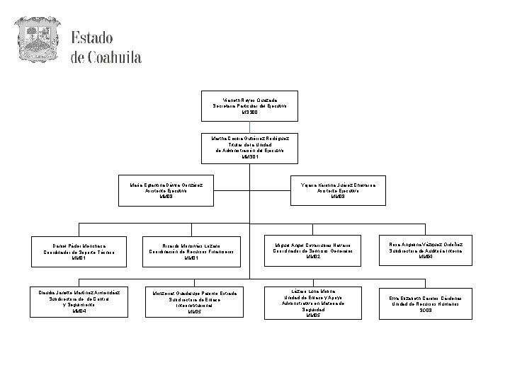 Vianeth Reyes Quezada Secretaria Particular del Ejecutivo MSS 00 Martha Cecilia Gutiérrez Rodríguez Titular