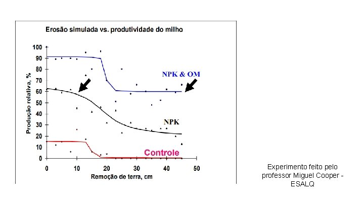 Experimento feito pelo professor Miguel Cooper - ESALQ 