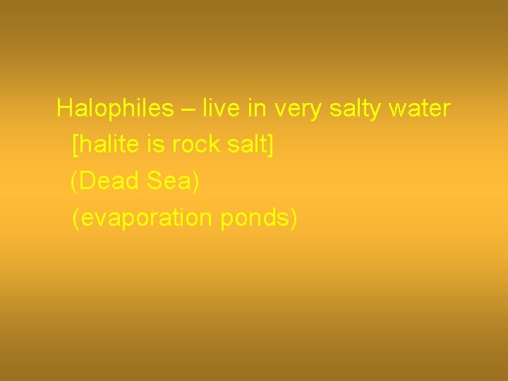 Halophiles – live in very salty water [halite is rock salt] (Dead Sea) (evaporation