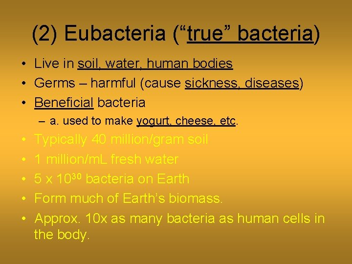 (2) Eubacteria (“true” bacteria) • Live in soil, water, human bodies • Germs –