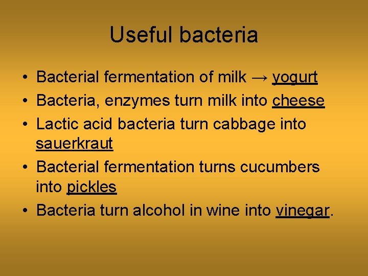 Useful bacteria • Bacterial fermentation of milk → yogurt • Bacteria, enzymes turn milk