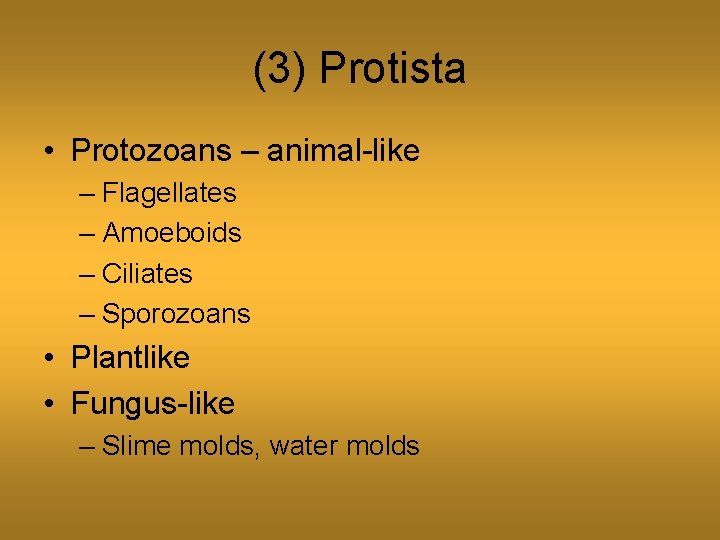 (3) Protista • Protozoans – animal-like – Flagellates – Amoeboids – Ciliates – Sporozoans