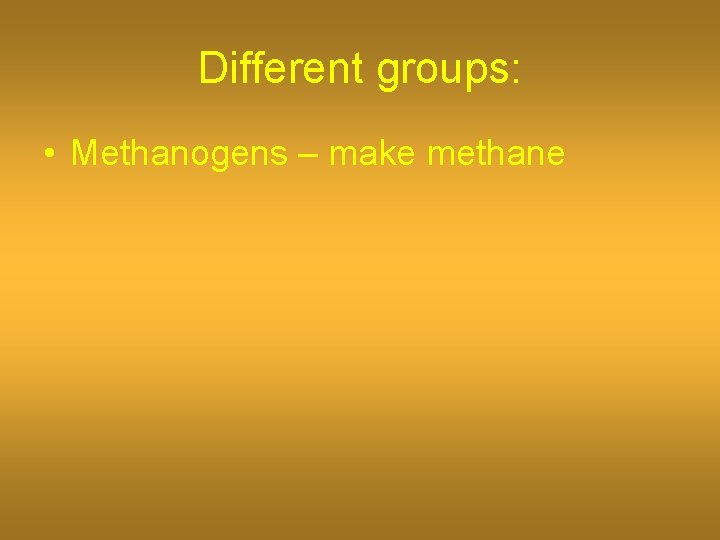 Different groups: • Methanogens – make methane 