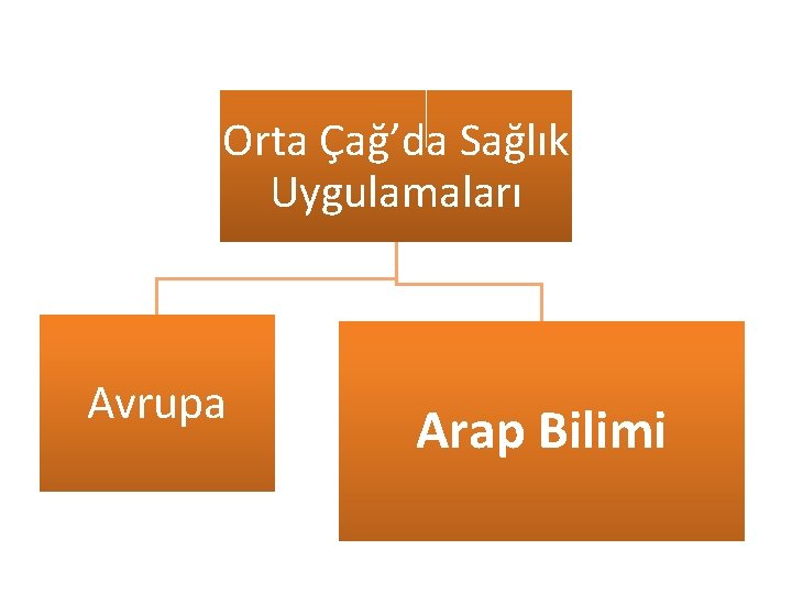Orta Çağ’da Sağlık Uygulamaları Avrupa Arap Bilimi 