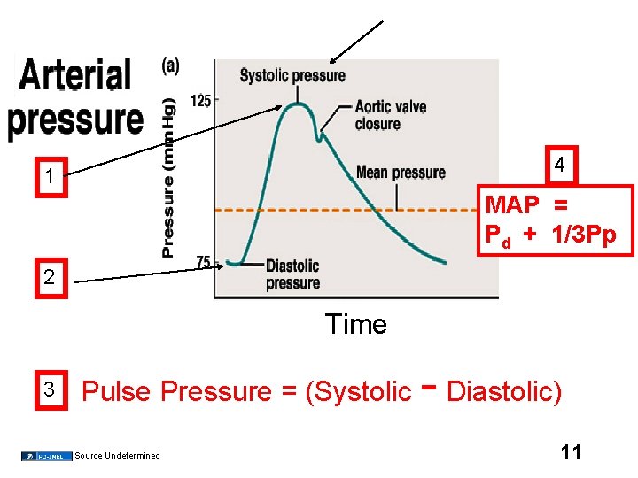 4 1 MAP = Pd + 1/3 Pp 2 Time 3 - Pulse Pressure