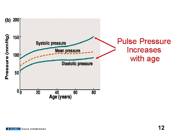 Pulse Pressure Increases with age Source Undetermined 12 